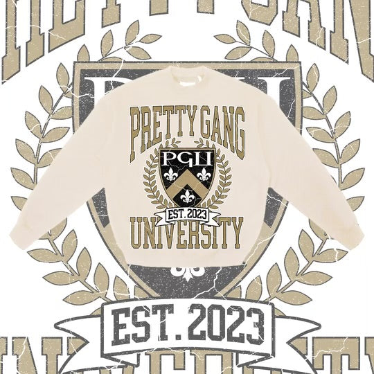 Saints Sweatshirt ⚜️