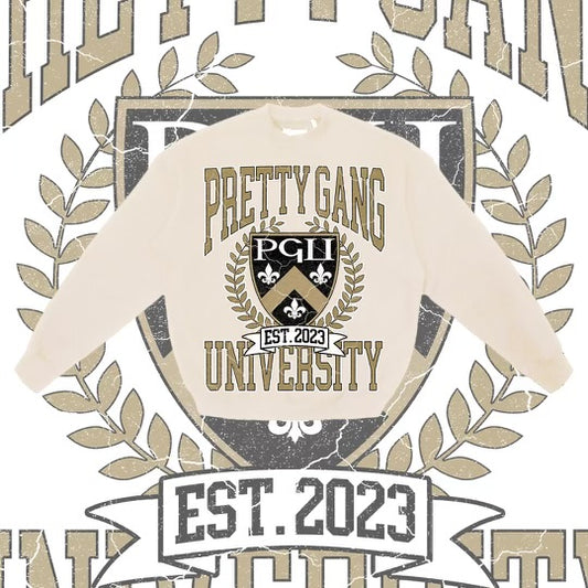 Saints Sweatshirt ⚜️